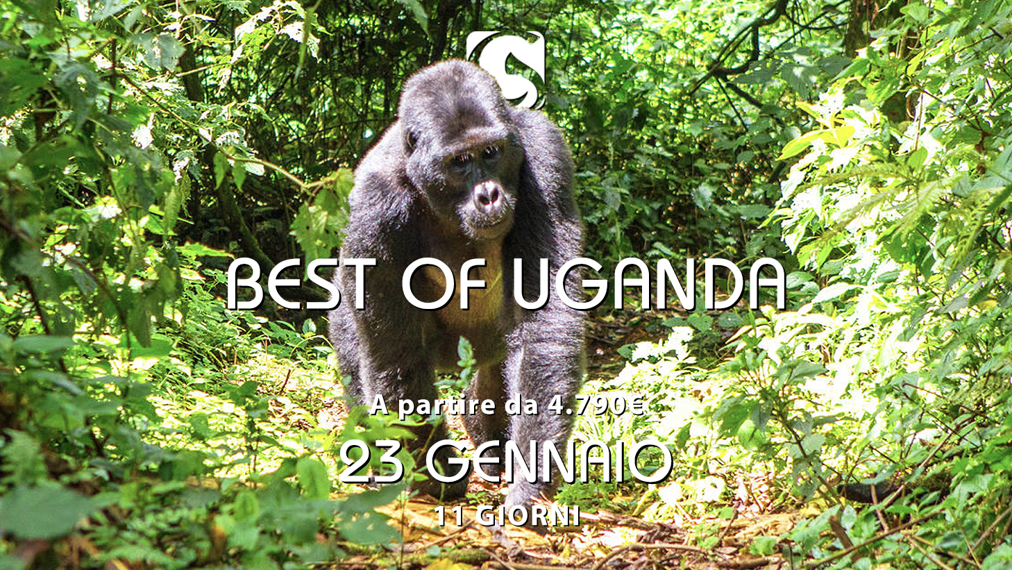 BEST OF UGANDA - Gen 2025